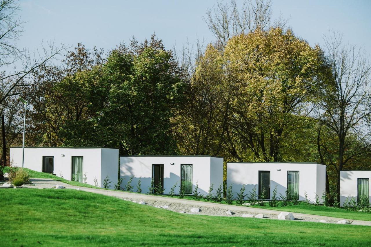 Termal Kre-Spa Sinnicolau de Munte Экстерьер фото
